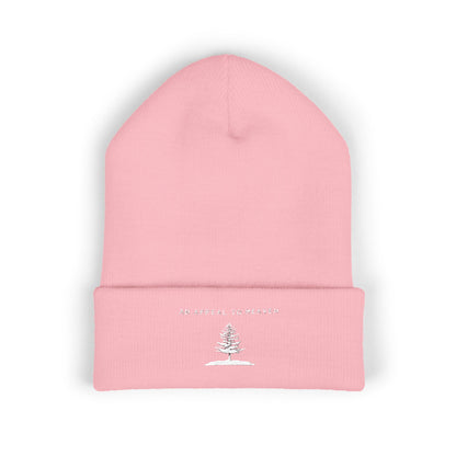 An Appeal To Heaven Beanie 2