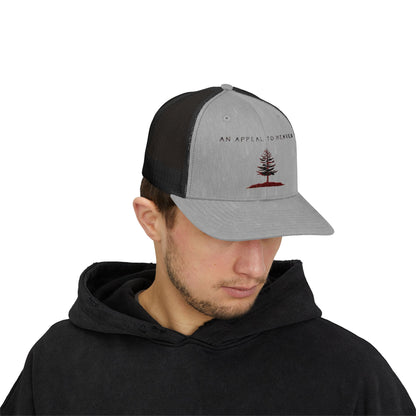 An Appeal To Heaven Hat 2 (Snapback)