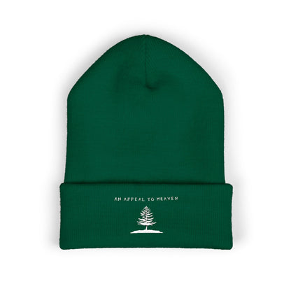 An Appeal To Heaven Beanie 2