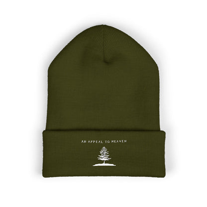 An Appeal To Heaven Beanie 2