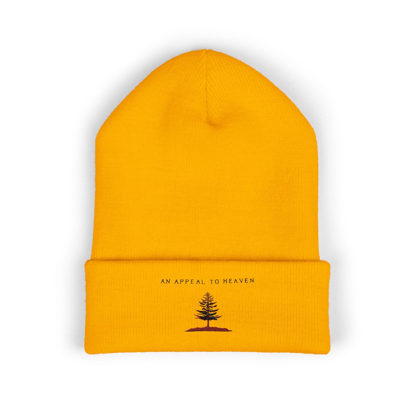 An Appeal To Heaven Beanie 1