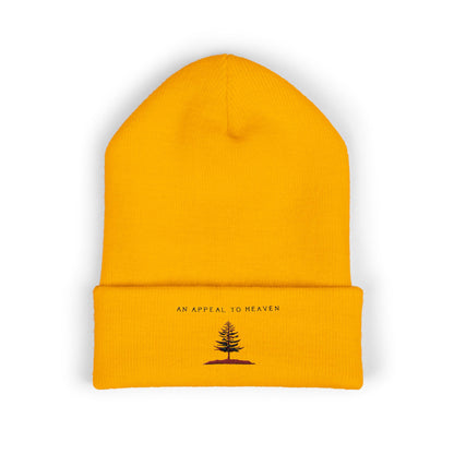 An Appeal To Heaven Beanie 1