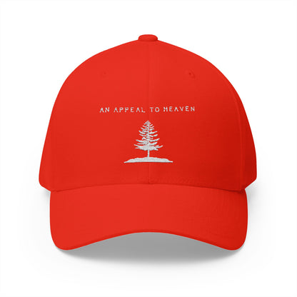An Appeal To Heaven Hat 2 (Flexfit)
