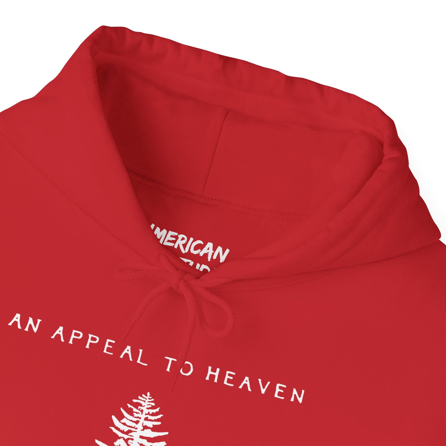 An Appeal To Heaven Hoodie