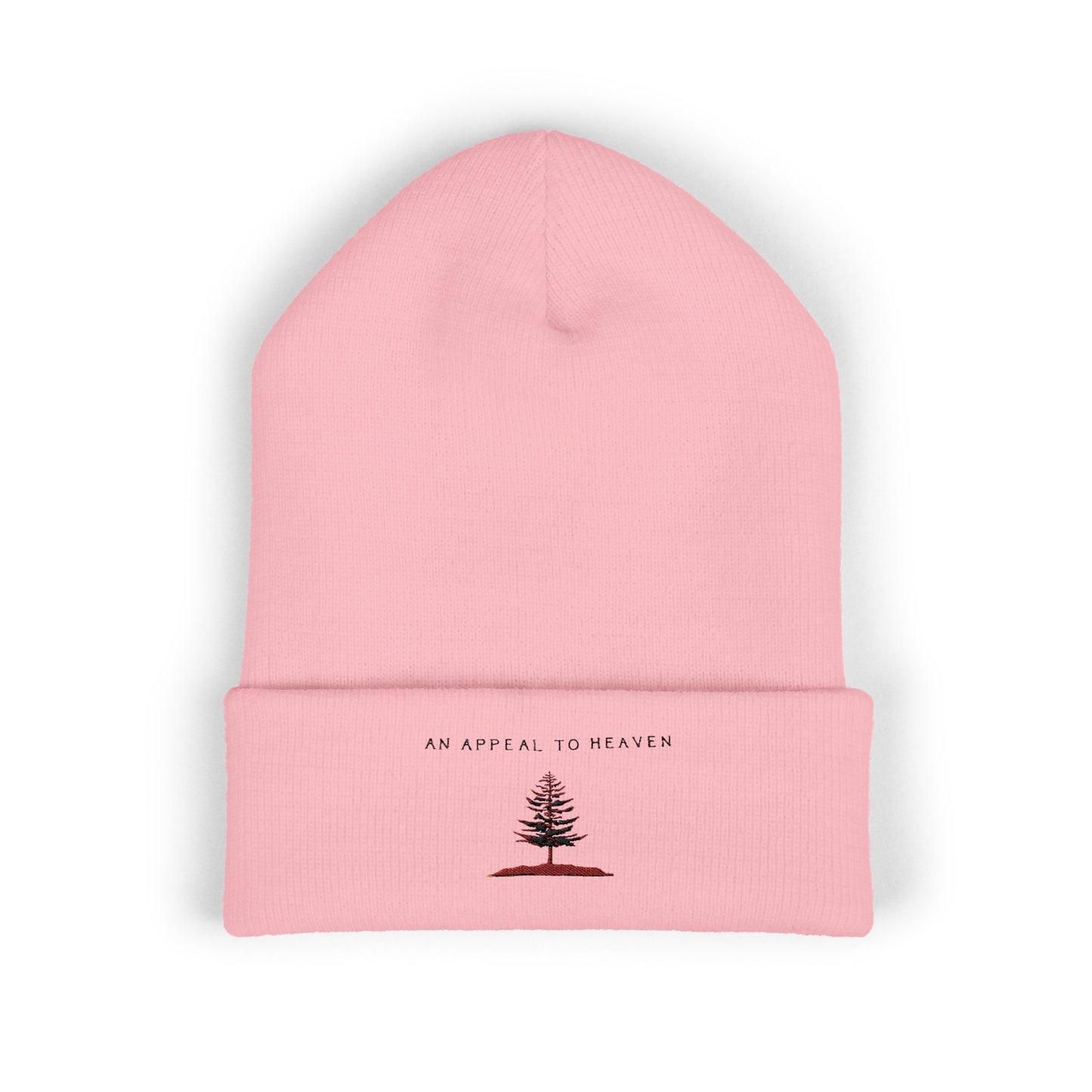 An Appeal To Heaven Beanie 1