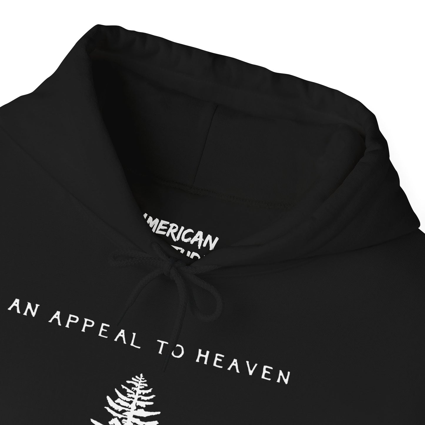 An Appeal To Heaven Hoodie