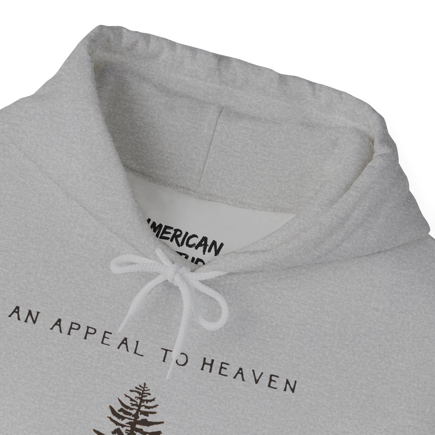 An Appeal To Heaven Hoodie
