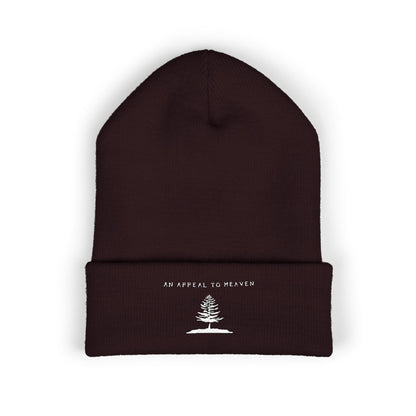 An Appeal To Heaven Beanie 2