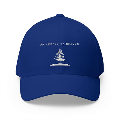 An Appeal To Heaven Hat 2 (Flexfit)