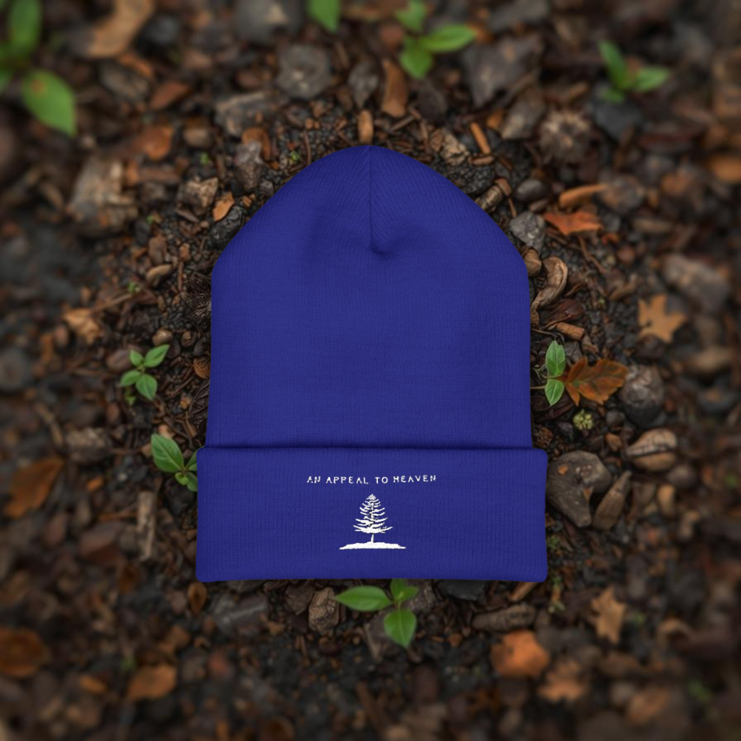An Appeal To Heaven Beanie 2