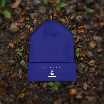 An Appeal To Heaven Beanie 2