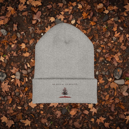An Appeal To Heaven Beanie 1