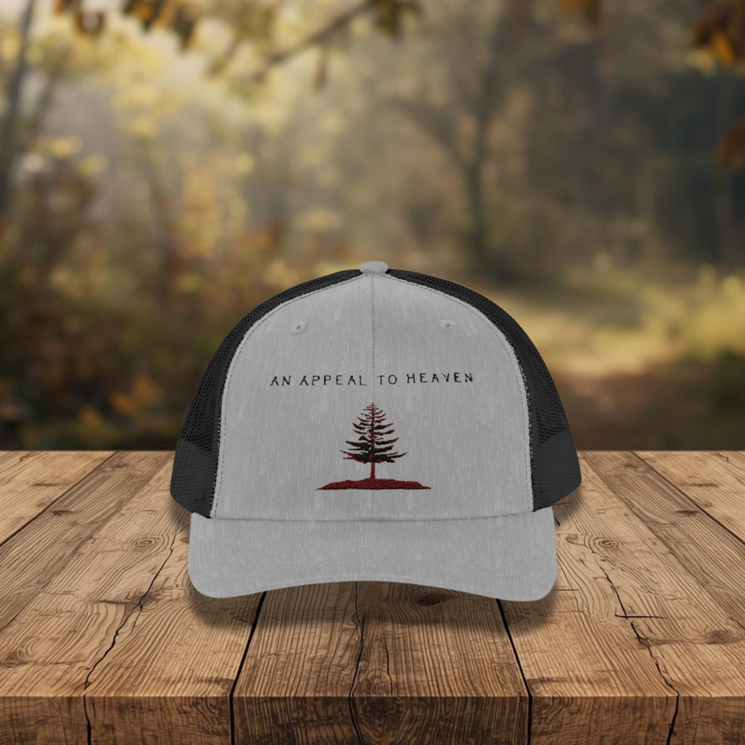 An Appeal To Heaven Hat 2 (Snapback)