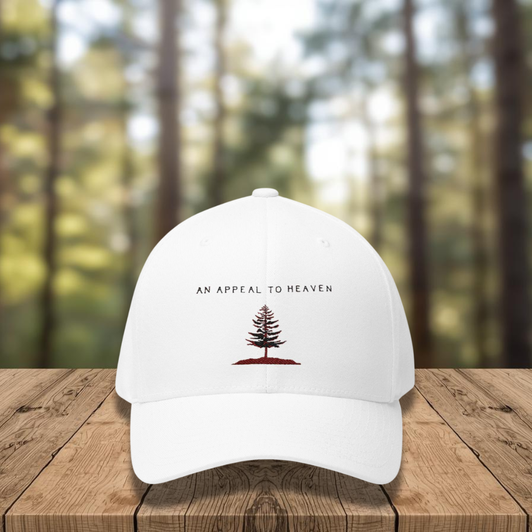 An Appeal to Heaven Hat 1 (Flexfit)