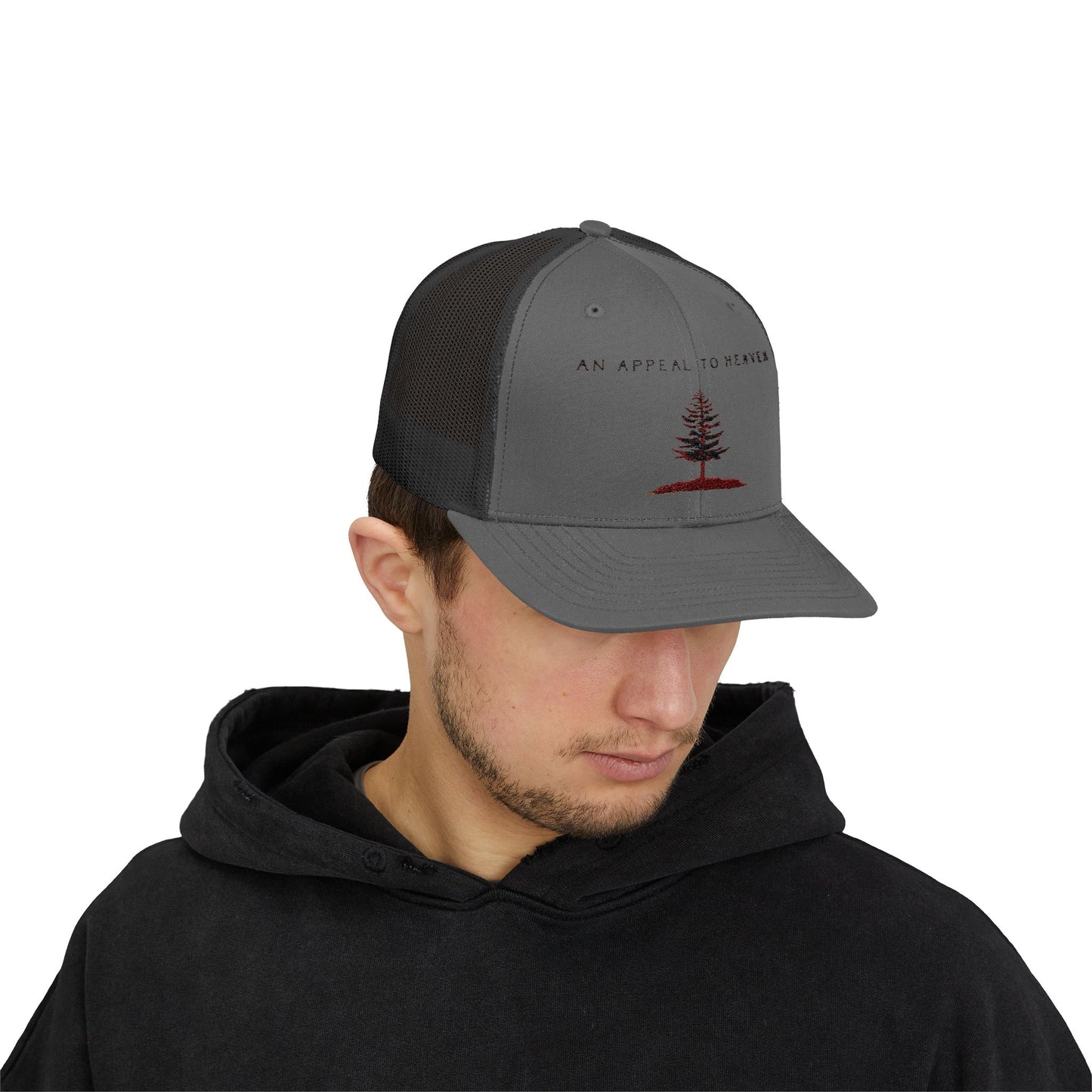 An Appeal To Heaven Hat 2 (Snapback)