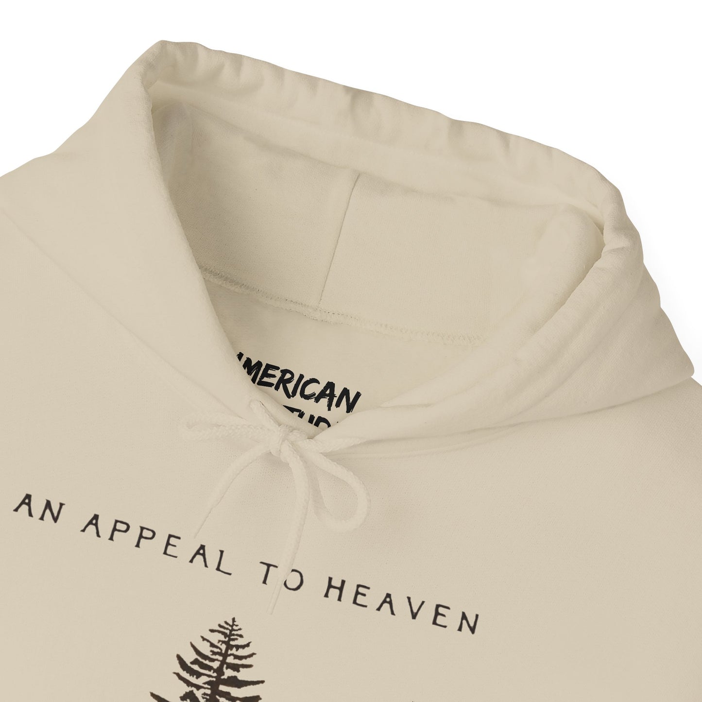 An Appeal To Heaven Hoodie