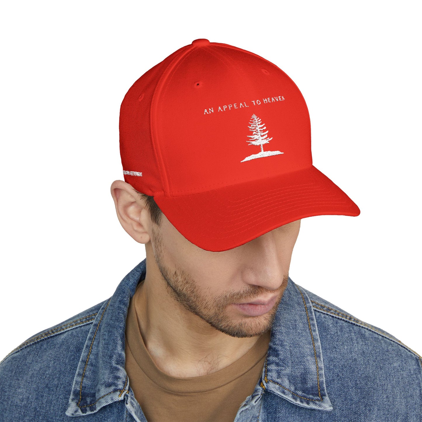 An Appeal To Heaven Hat 2 (Flexfit)