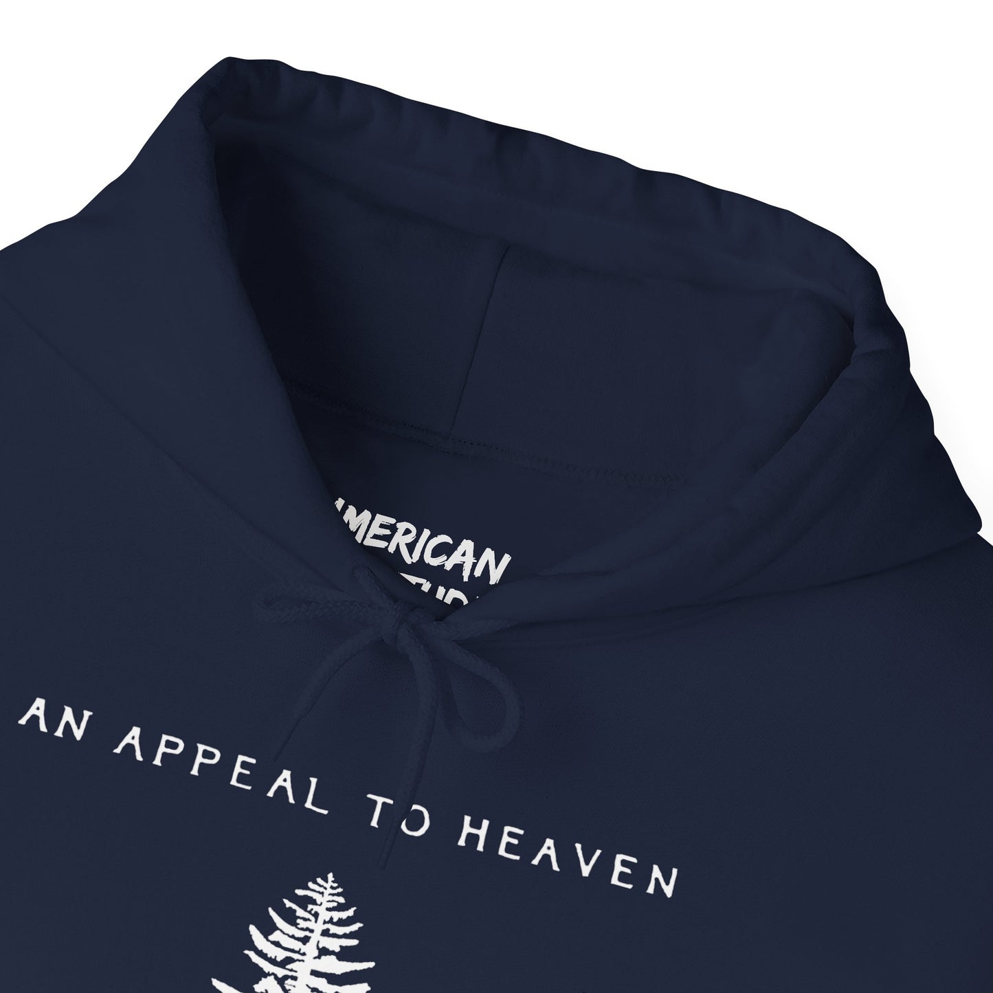 An Appeal To Heaven Hoodie
