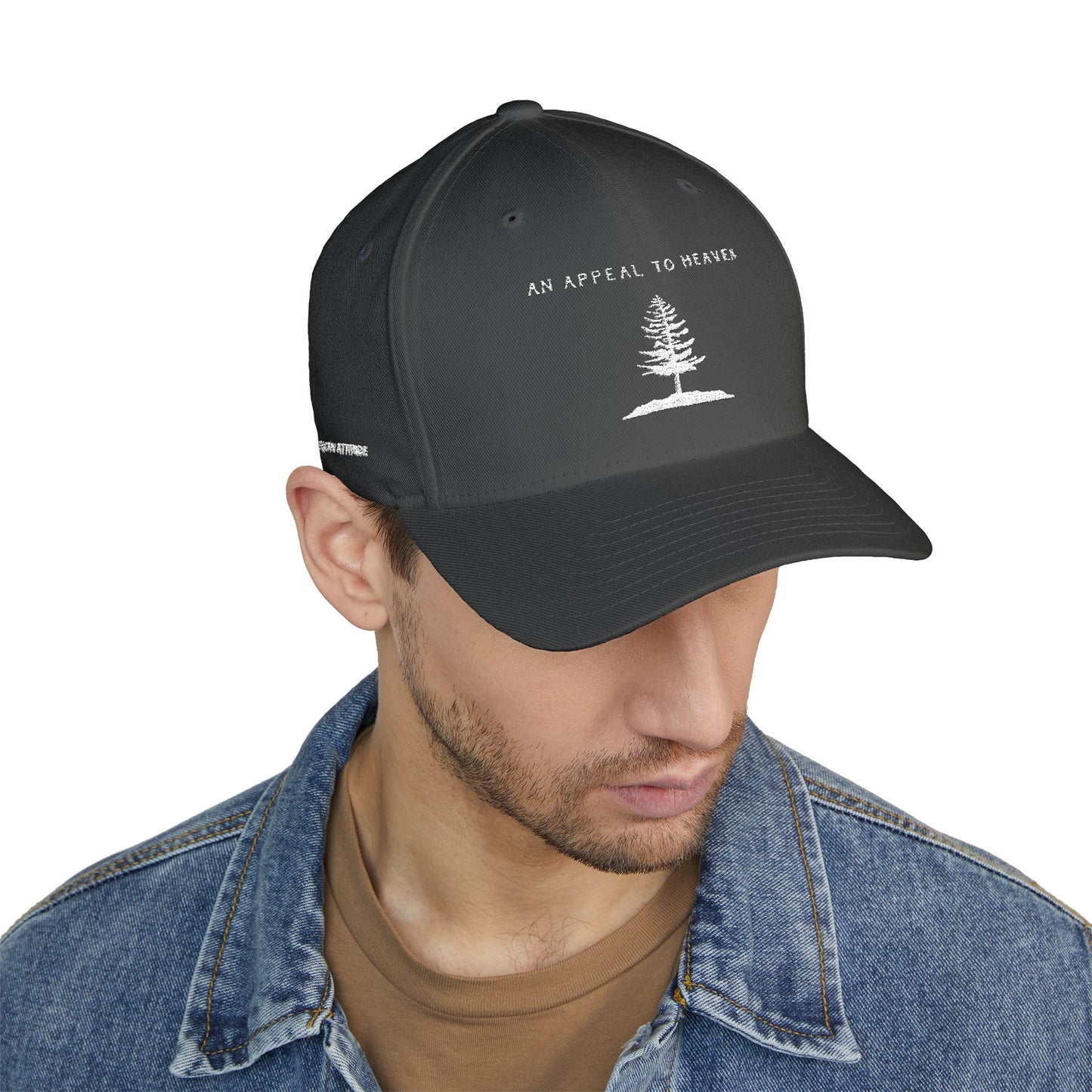 An Appeal To Heaven Hat 2 (Flexfit)